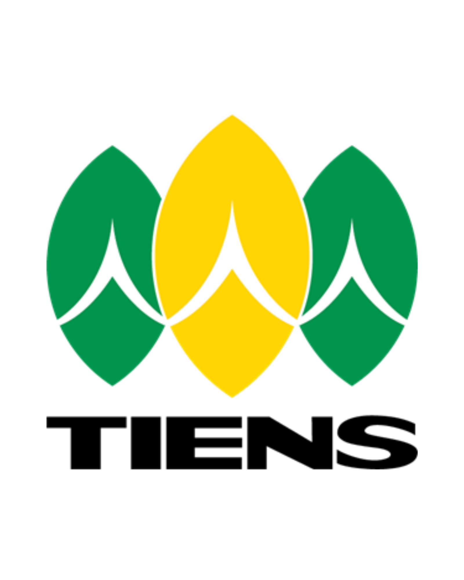 TIENS
