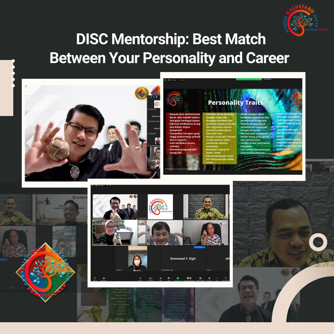DISC Mentorship: Best Match Between Your Personality and Career